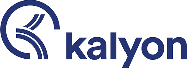 Kalyon Holding - Vikipedi